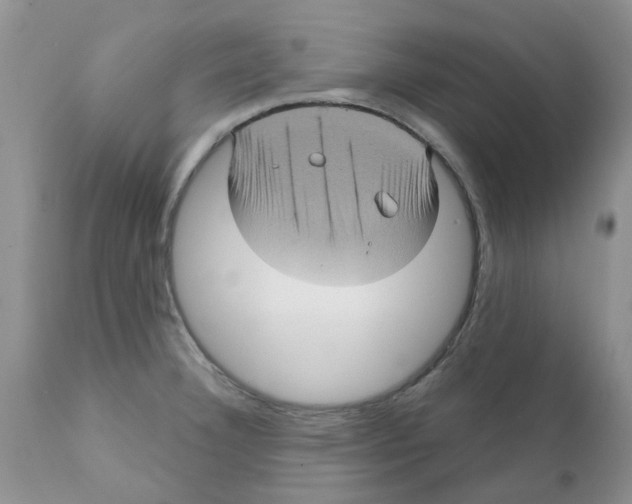 X0000111621332200908141309