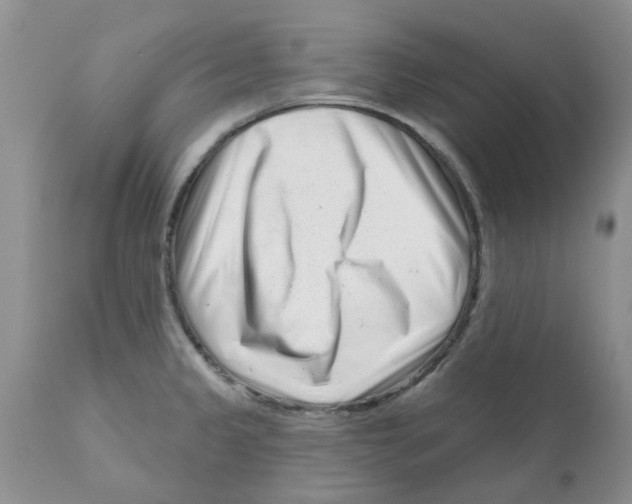 X0000111621333200908141309