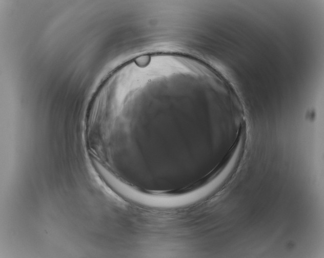 X0000111621334200908141309