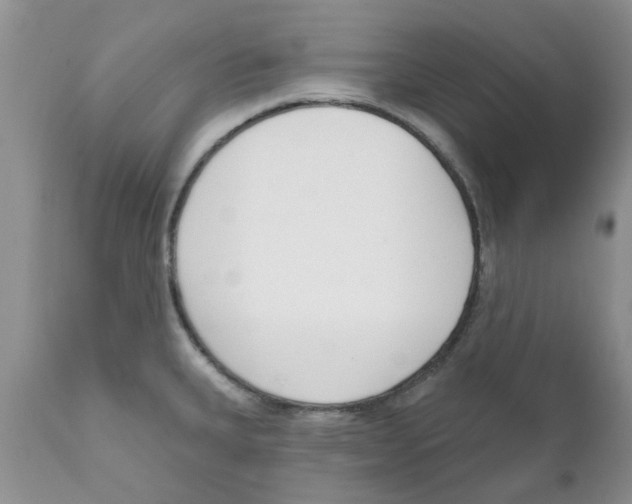 X0000111621335200908141309