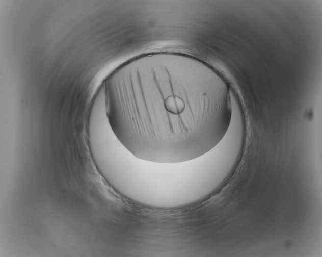 X0000111621336200908141309