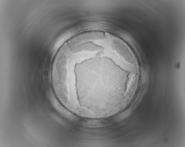 X0000111621338200908141309