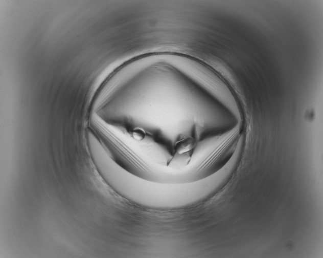 X0000111621340200908141309