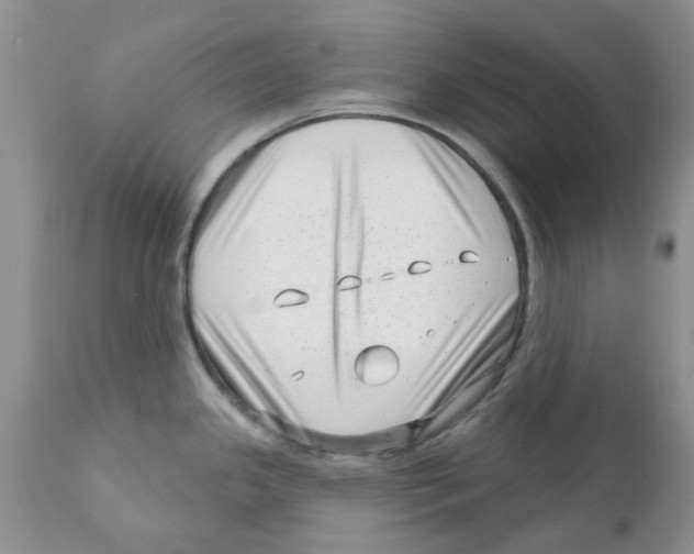 X0000111621341200908141309