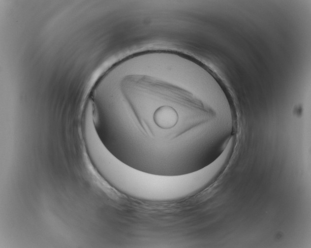 X0000111621342200908141309