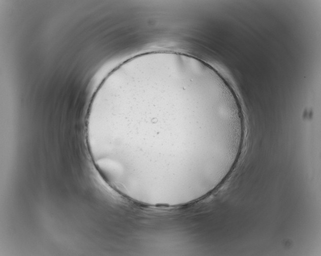 X0000111621344200908141309