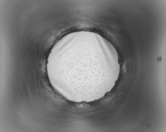 X0000111621348200908141308