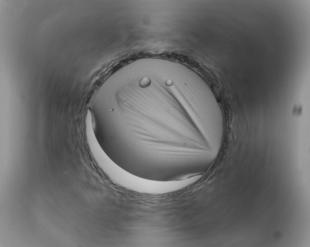 X0000111621349200908141308