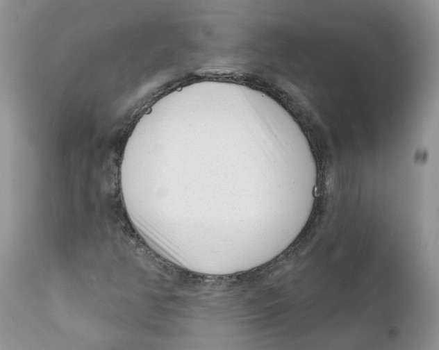 X0000111621350200908141308