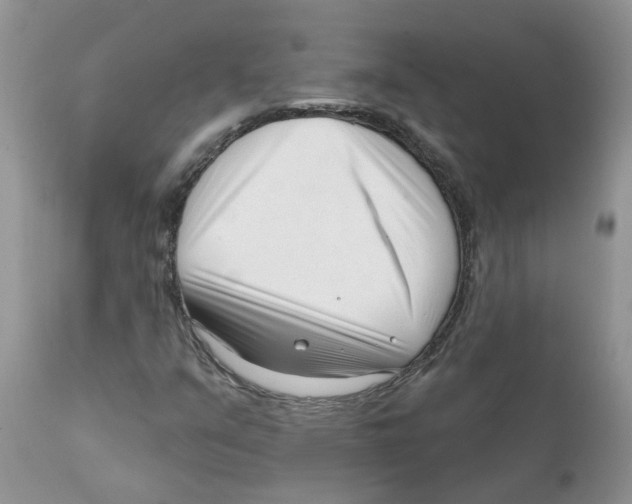 X0000111621351200908141308