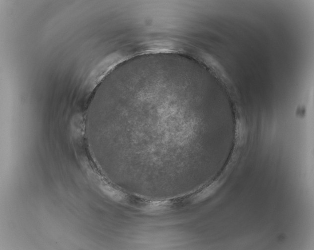 X0000111621353200908141308