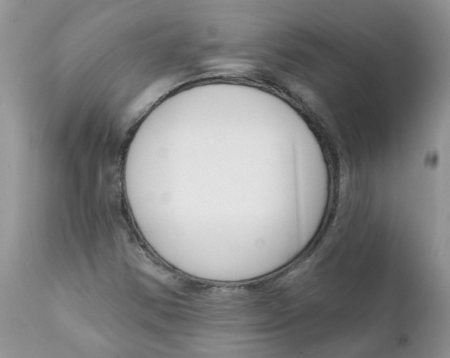 X0000111621354200908141308