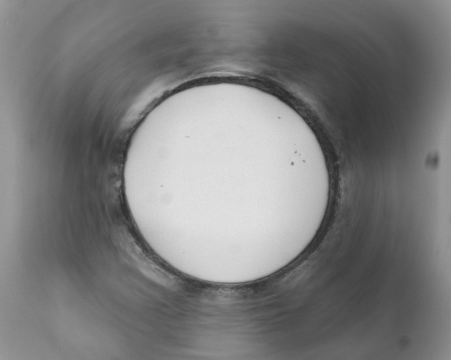 X0000111621355200908141308