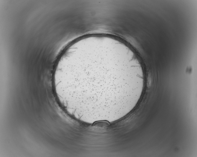 X0000111621356200908141308