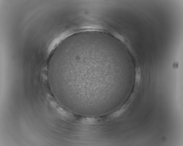 X0000111621357200908141308