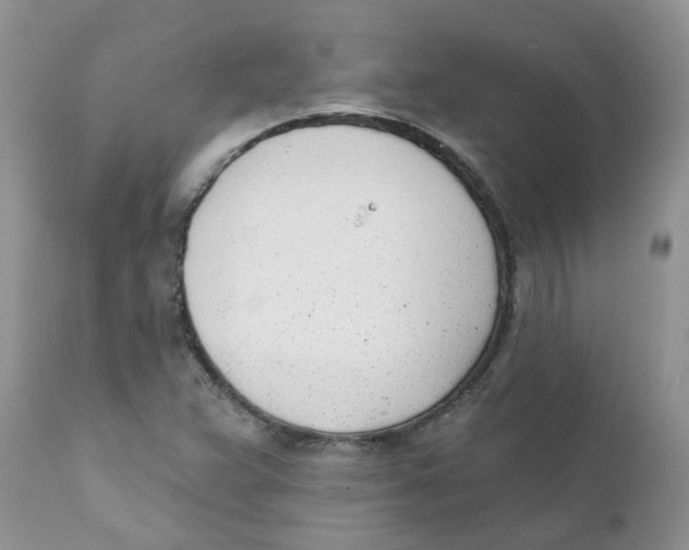 X0000111621359200908141308