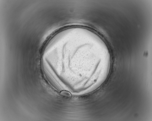 X0000111621360200908141308