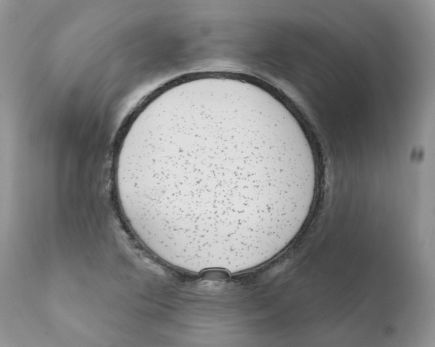 X0000111621364200908141308