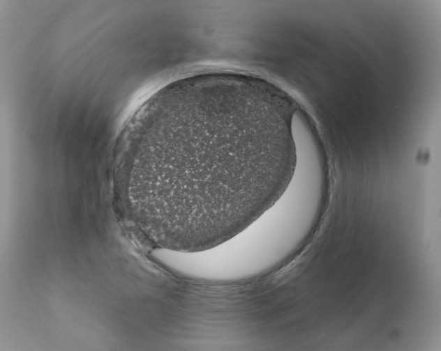 X0000111621365200908141308