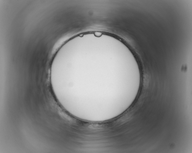 X0000111621366200908141308