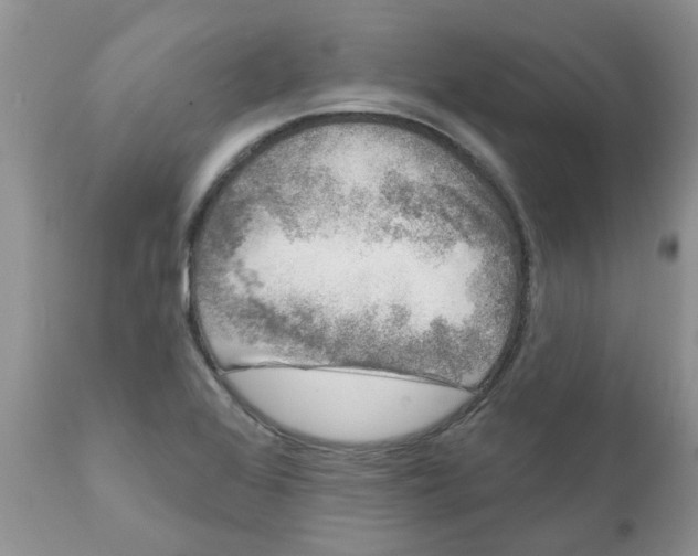 X0000111621368200908141308