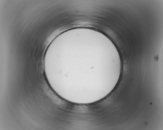 X0000111621370200908141308