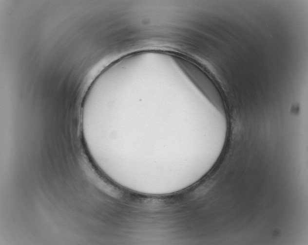 X0000111621371200908141308