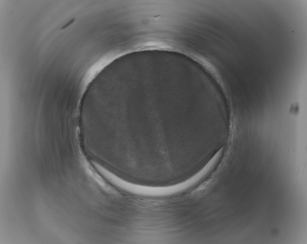 X0000111621373200908141308