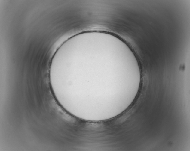 X0000111621374200908141308