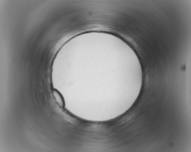 X0000111621375200908141308