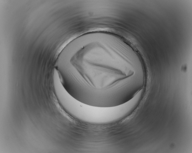 X0000111621377200908141308