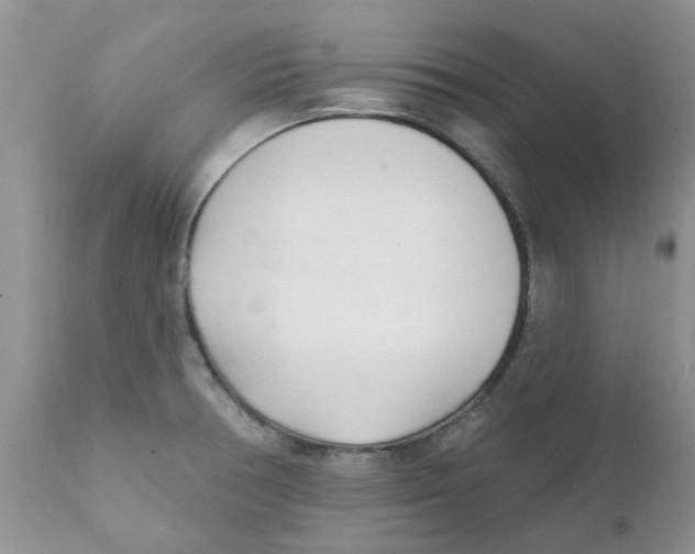 X0000111621378200908141308