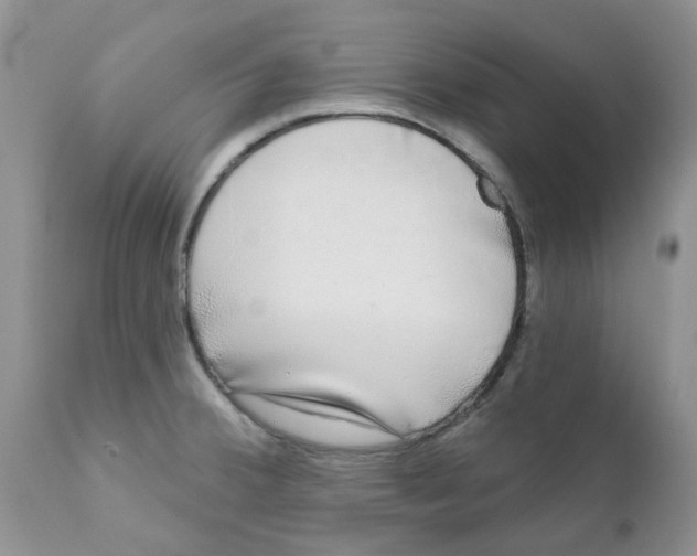 X0000111621380200908141308