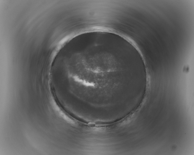 X0000111621381200908141308