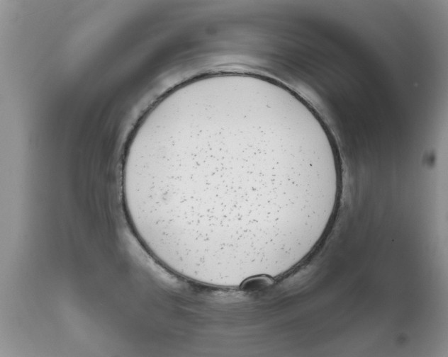 X0000111621384200908141308