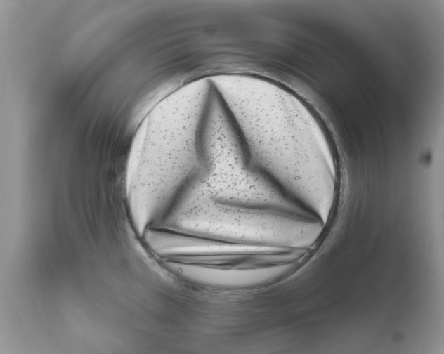 X0000111621385200908141308