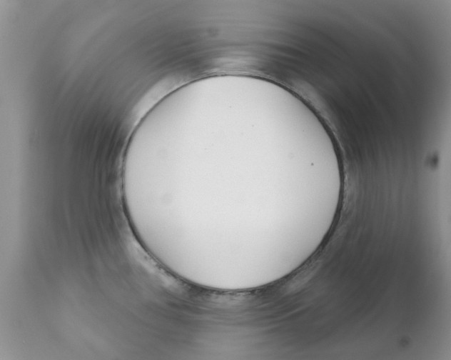 X0000111621386200908141308