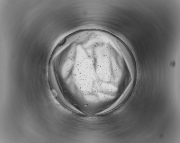 X0000111621388200908141308