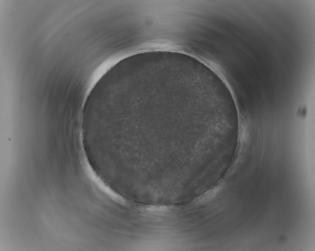 X0000111621389200908141308