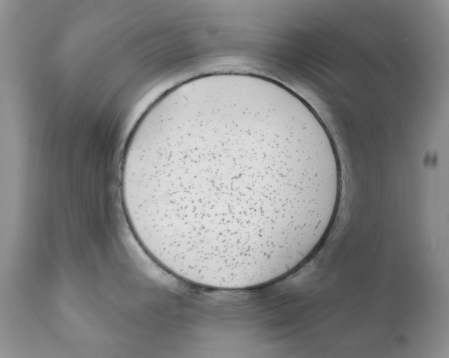 X0000111621392200908141308