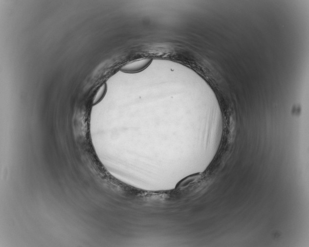 X0000111621394200908141307