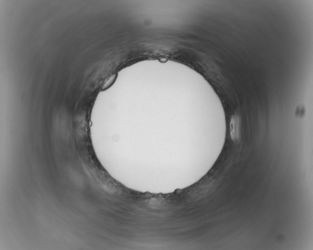 X0000111621395200908141307