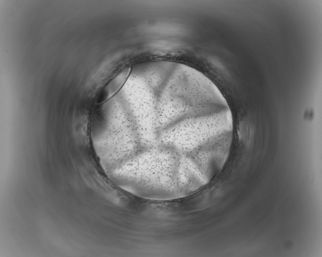 X0000111621396200908141307