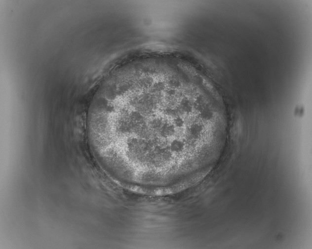 X0000111621397200908141307