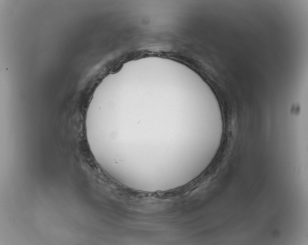 X0000111621398200908141307