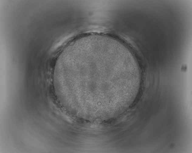 X0000111621399200908141307