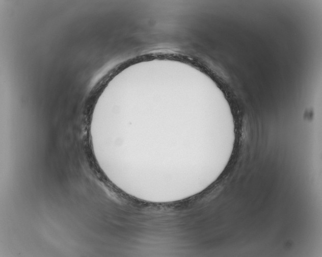 X0000111621400200908141307