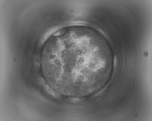 X0000111621405200908141307