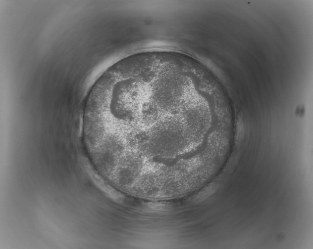 X0000111621413200908141307