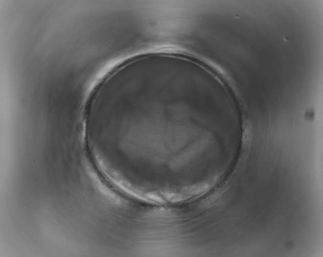 X0000111621414200908141307